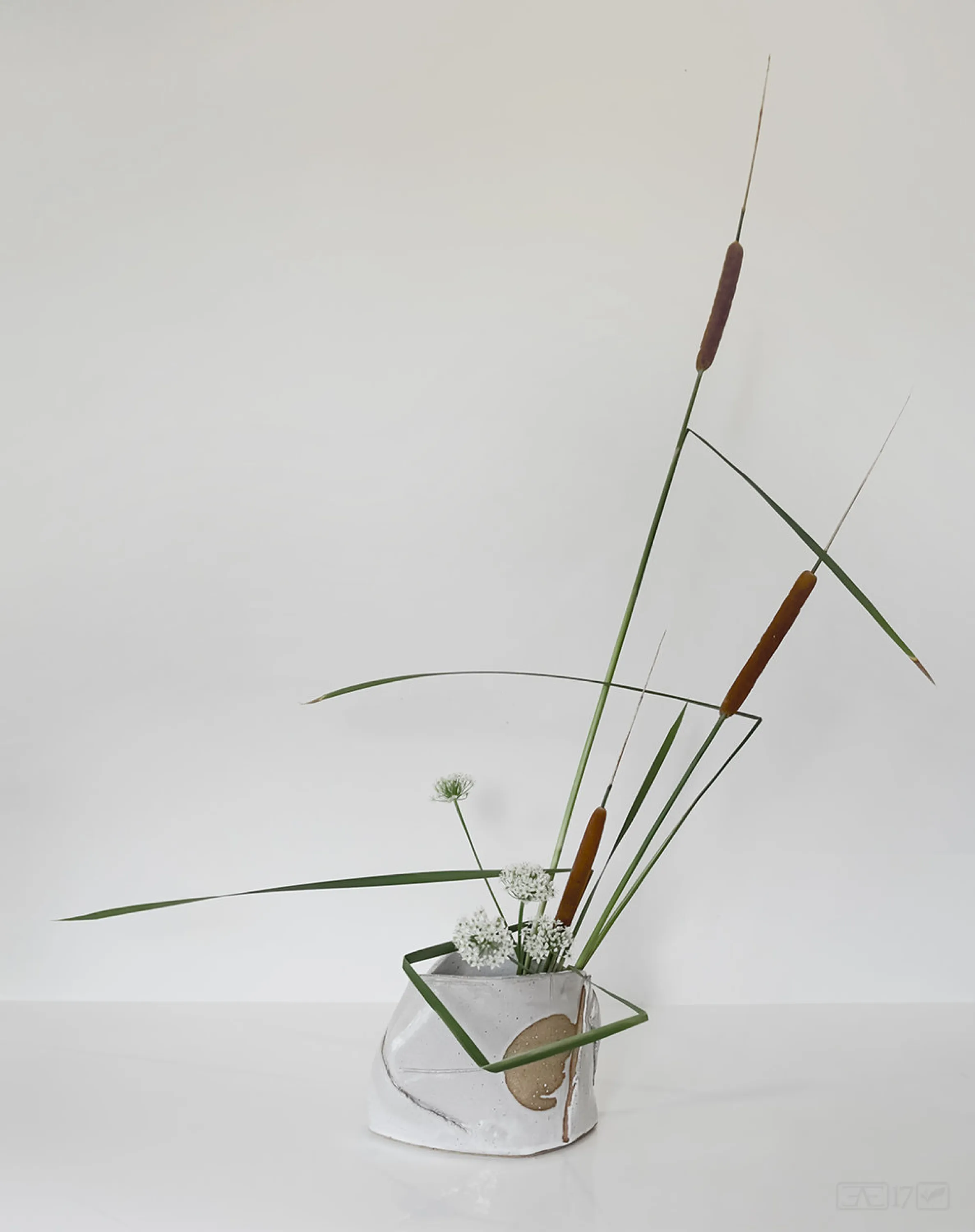 Ikebana arrangement making great use of negative space.