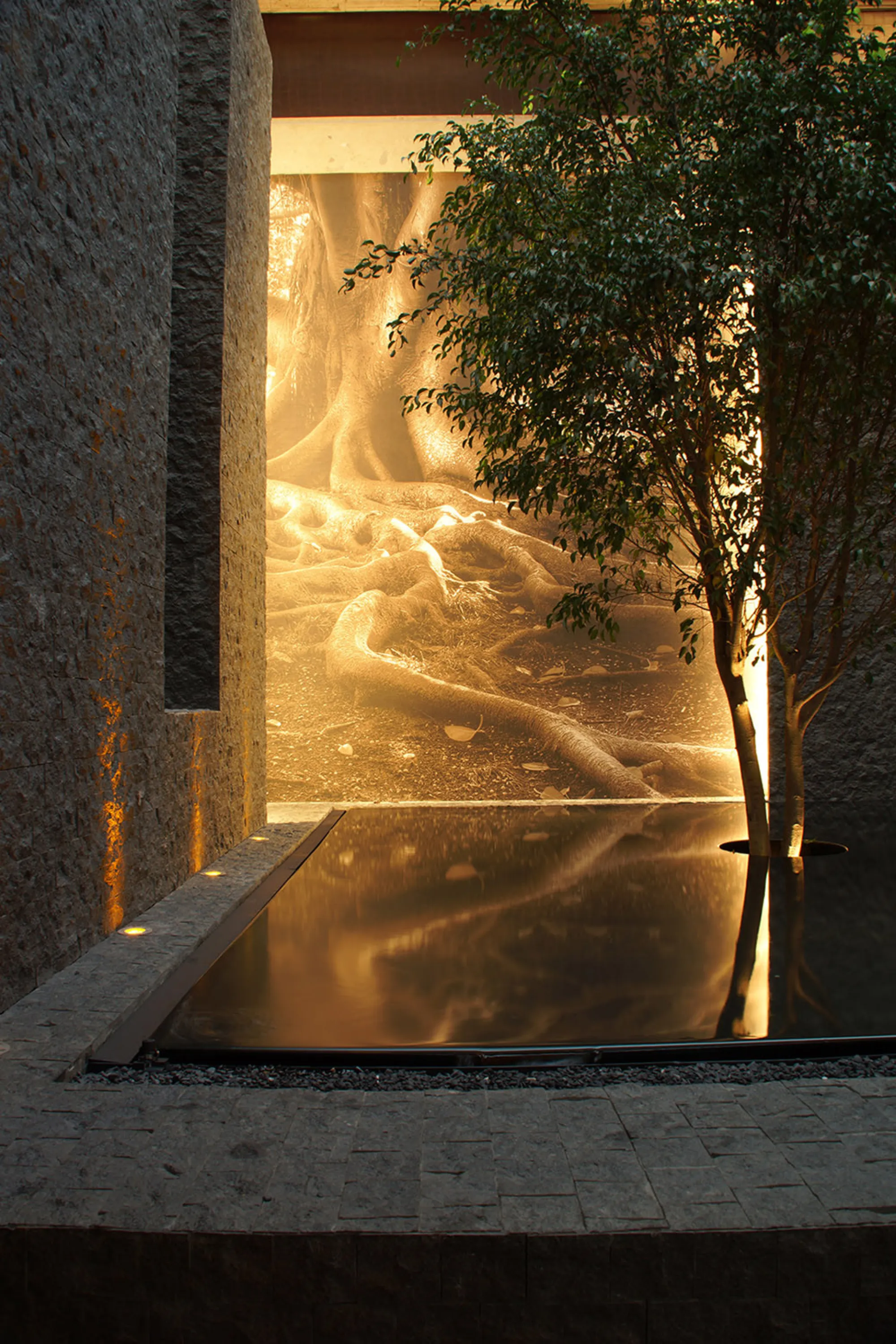 Water pond reflecting on the wall.