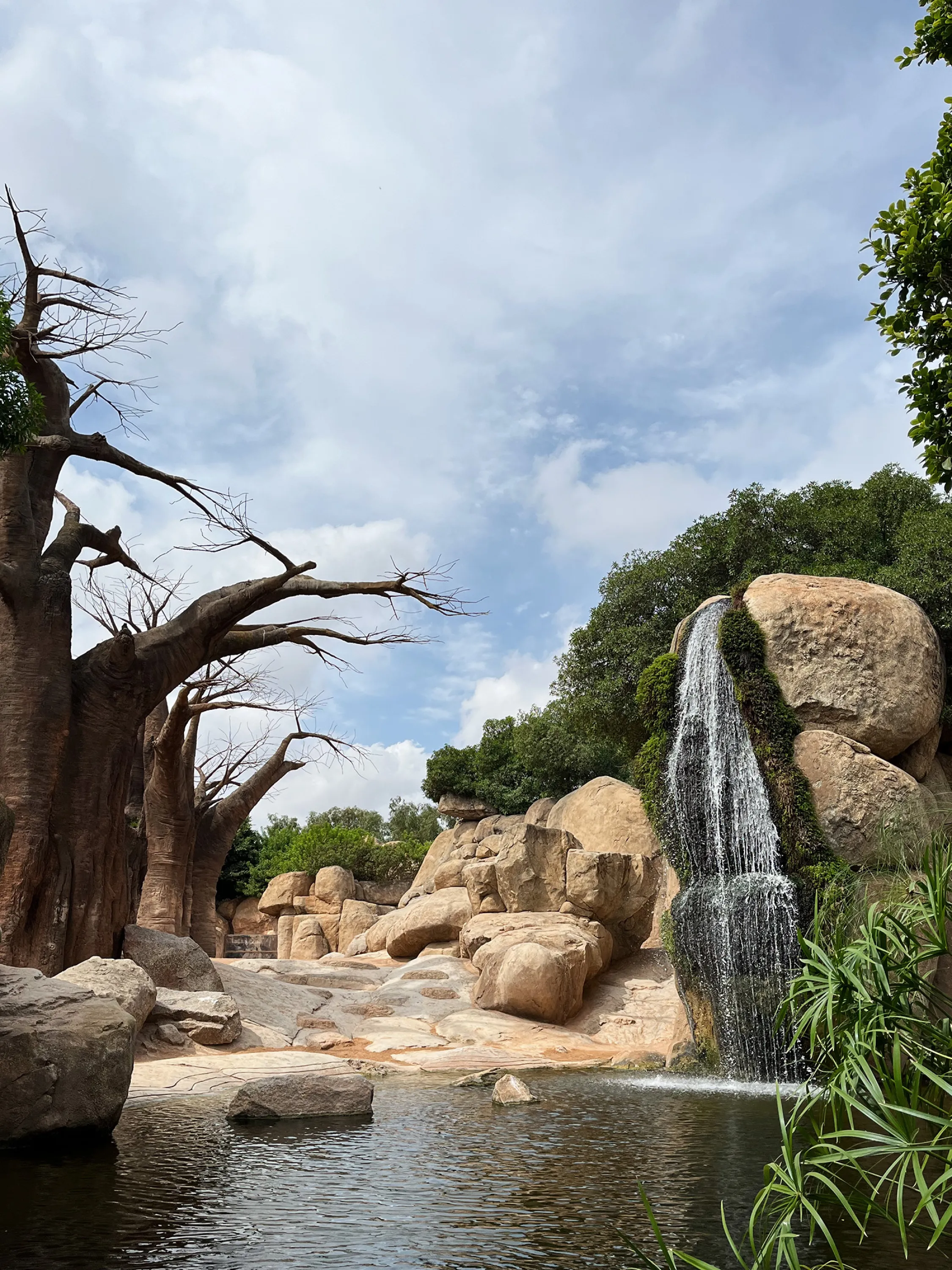 Nature-like ambiance with waterfall.