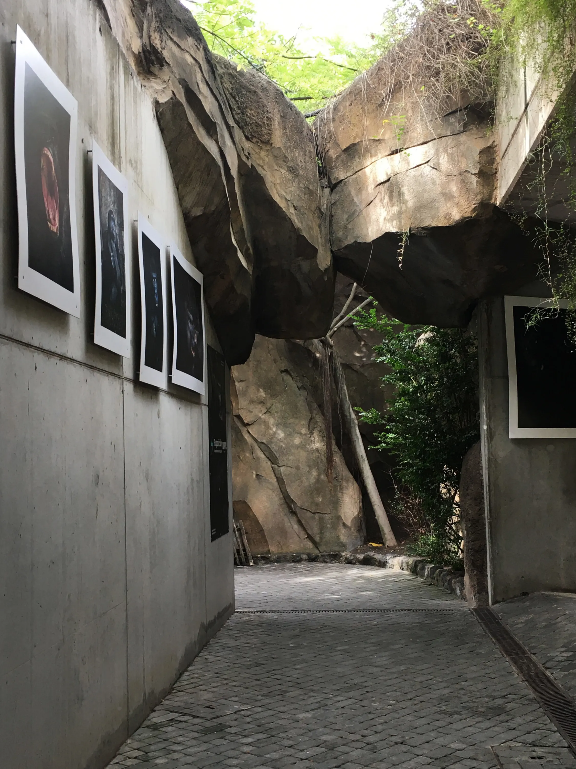 Pathway with seemingly unstable overhead rocks.