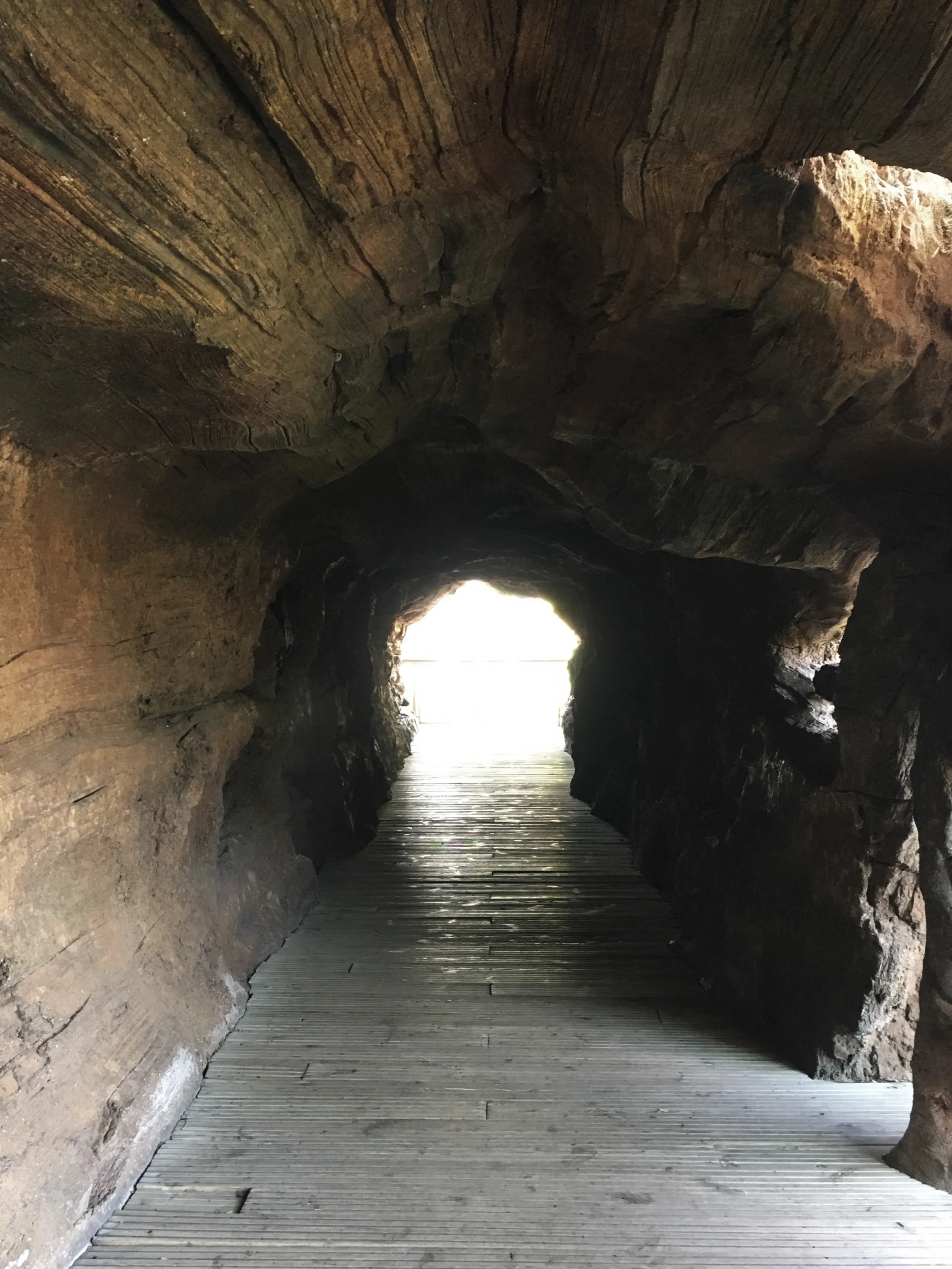 A cave-like pathway.