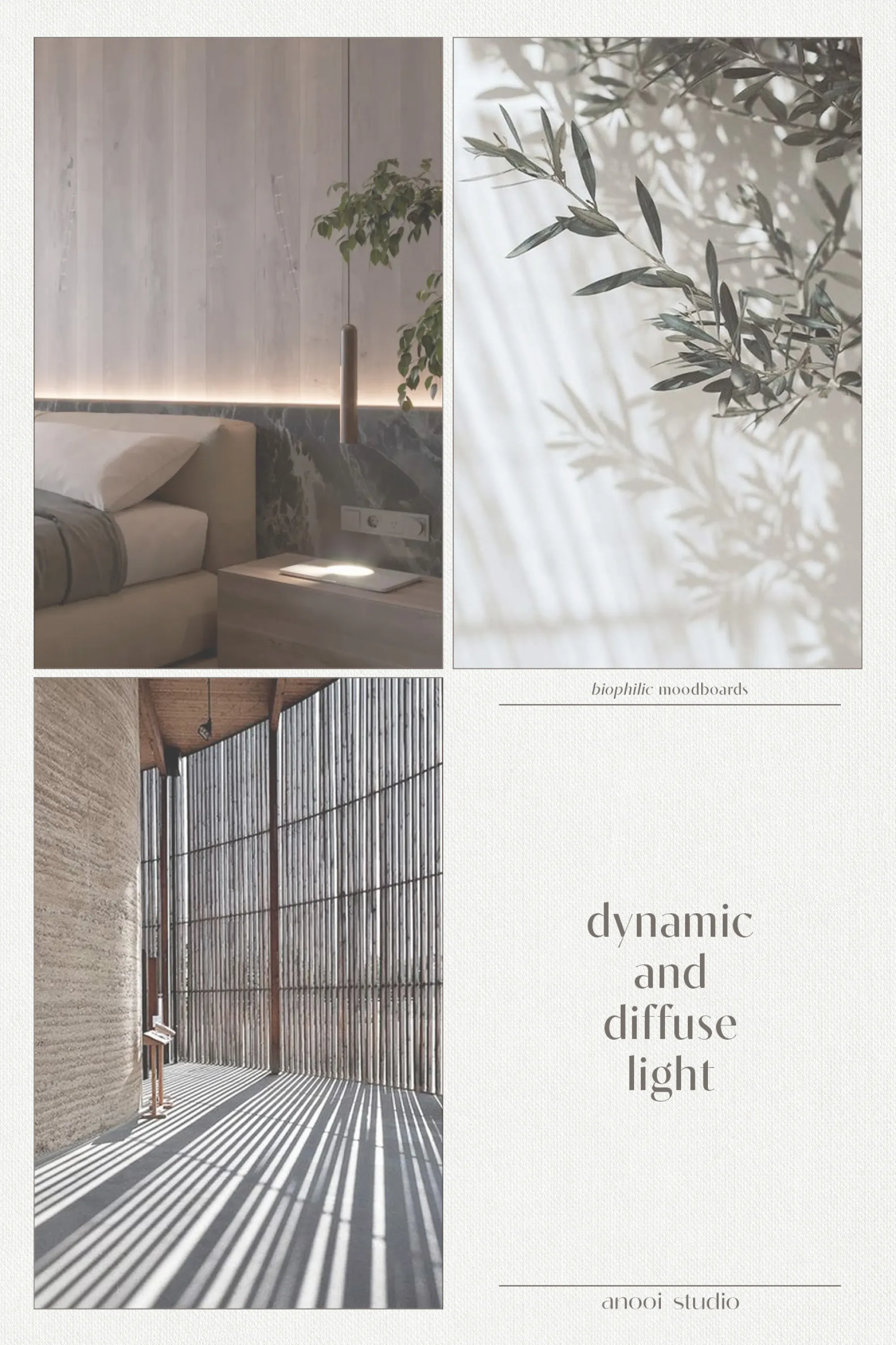 Biophilic design moodboard showing examples of dynamic and diffuse lighting. 1. Diffuse bedside lighting. 2. A olive tree branch reflecting on a wall. 3. Sunlight drawing patterns by filtering through a ribbed partition.