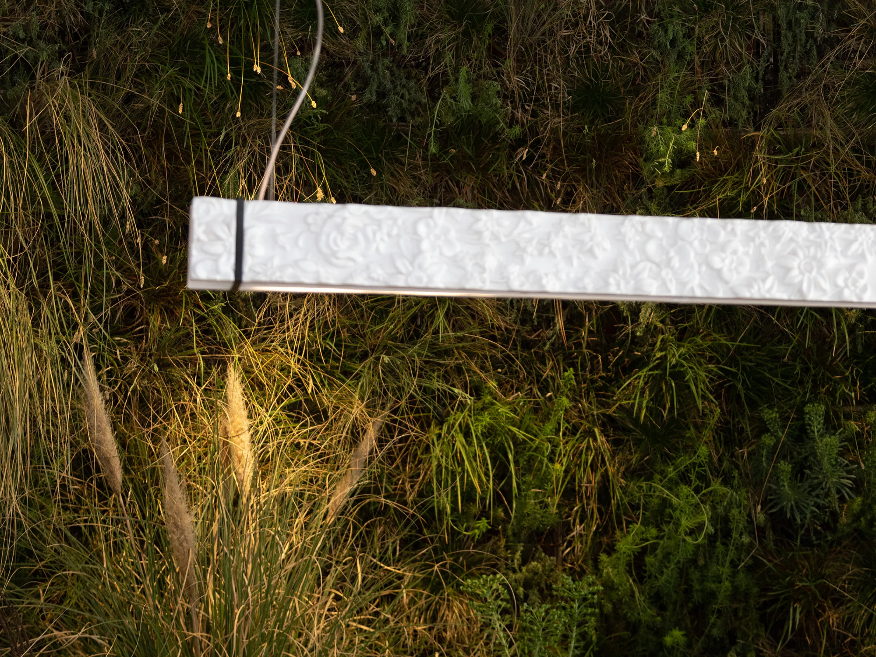 Pendant lamp displayed in front of a green wall.