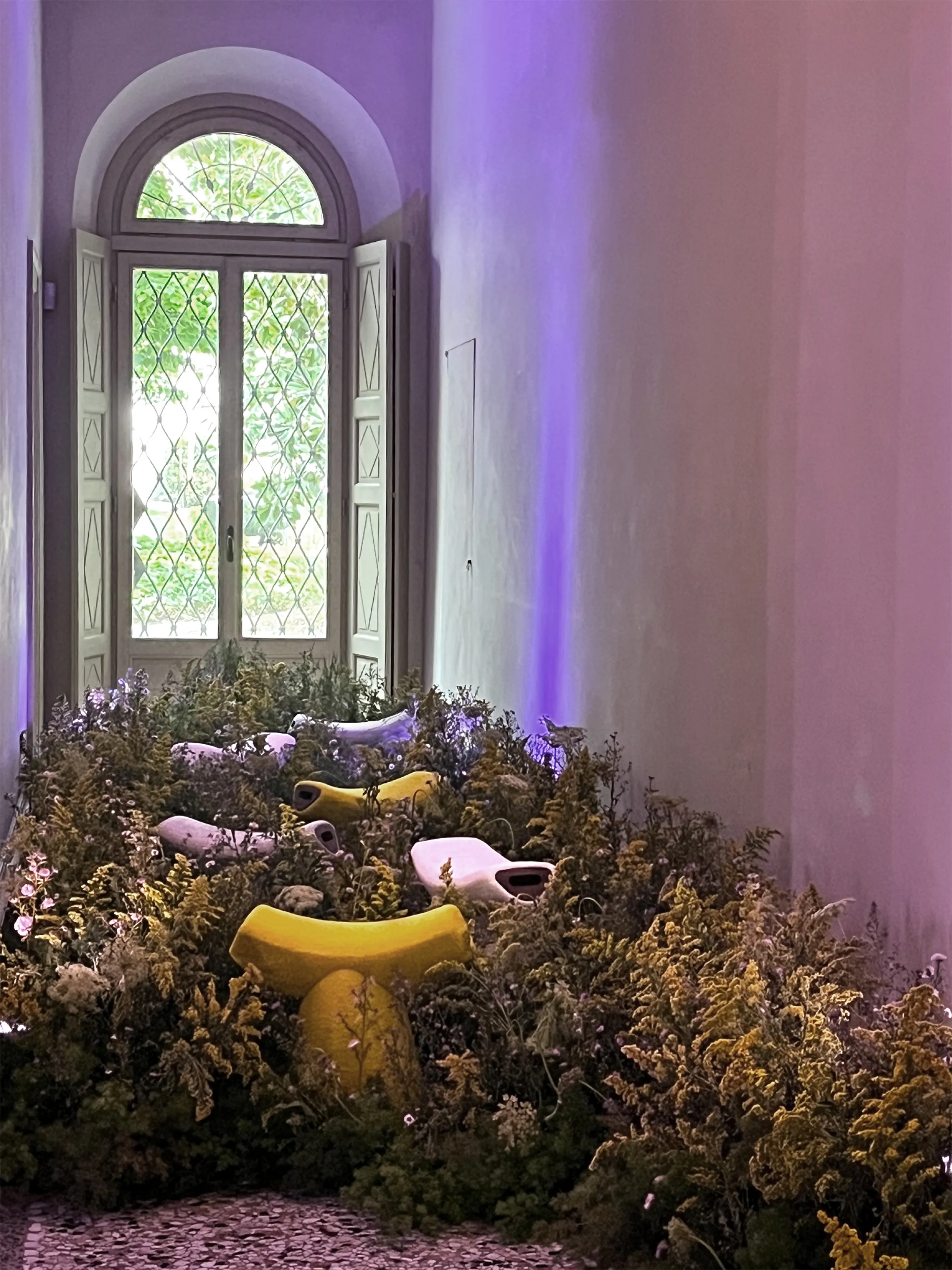 A corridor with stools displayed on a bed of flowers.