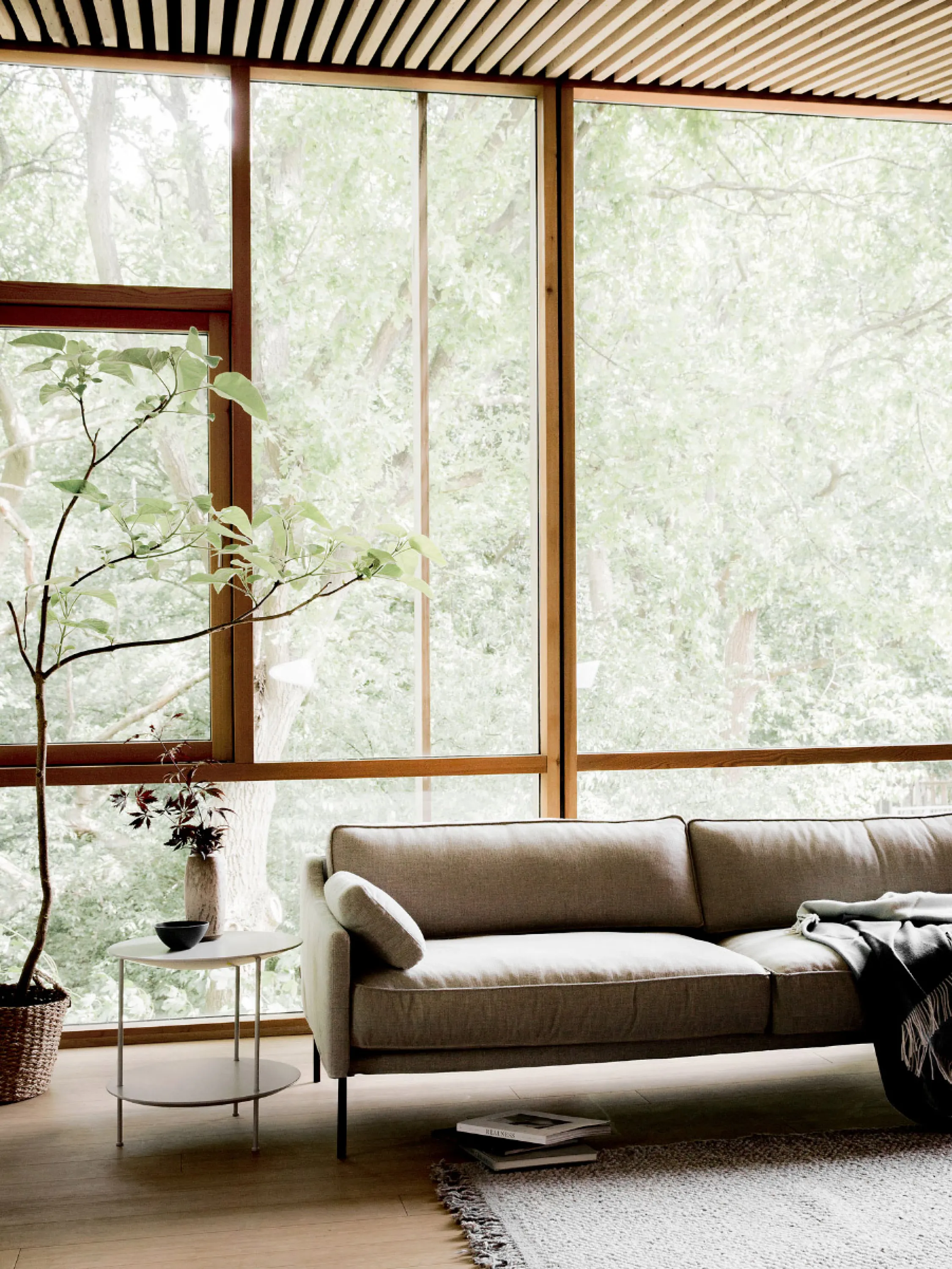 Full-height window in a minimalist living room.