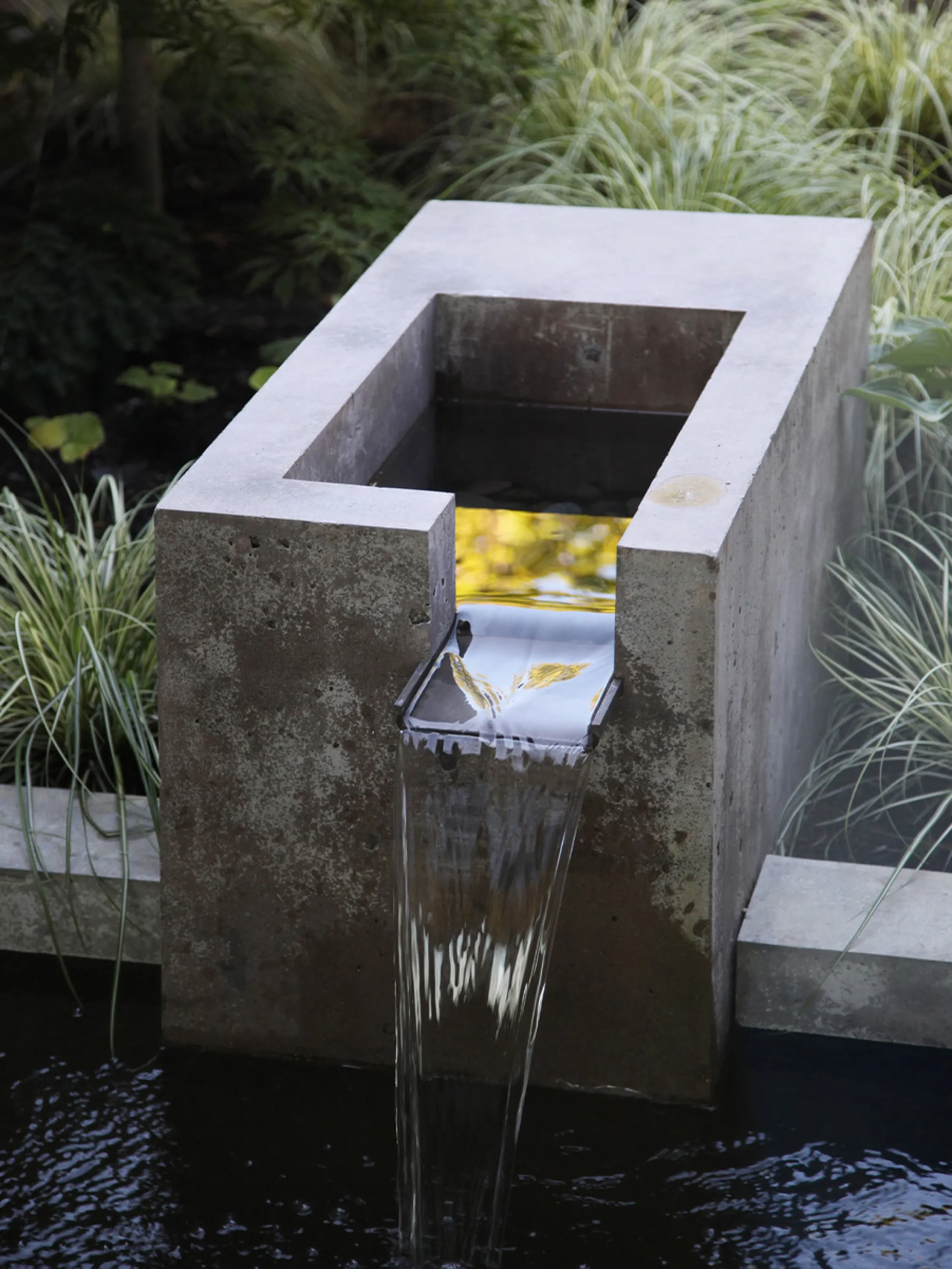 Outdoor fountain immersed in plants.