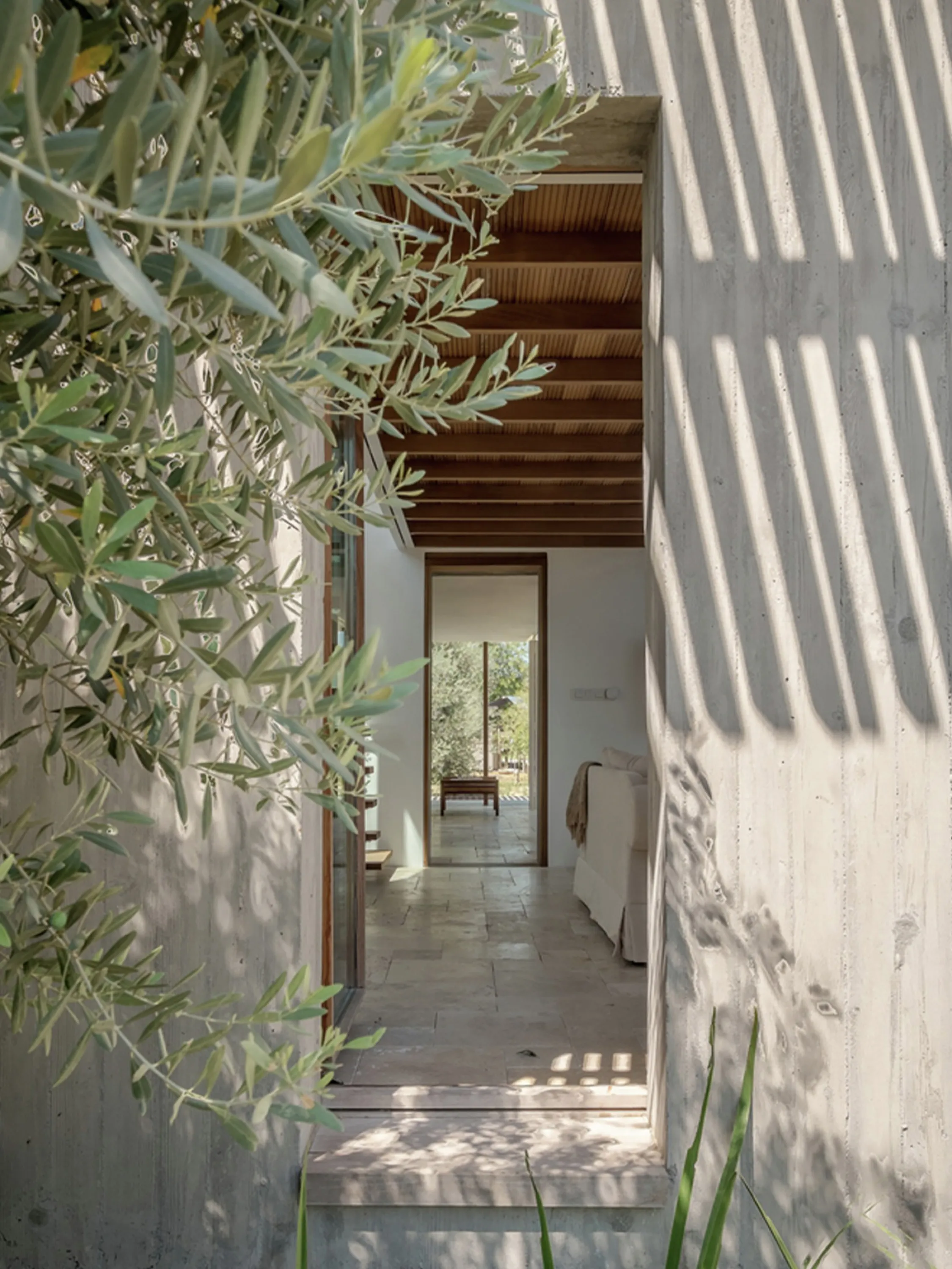 Outdoor space with plants swinging and interesting light reflections.