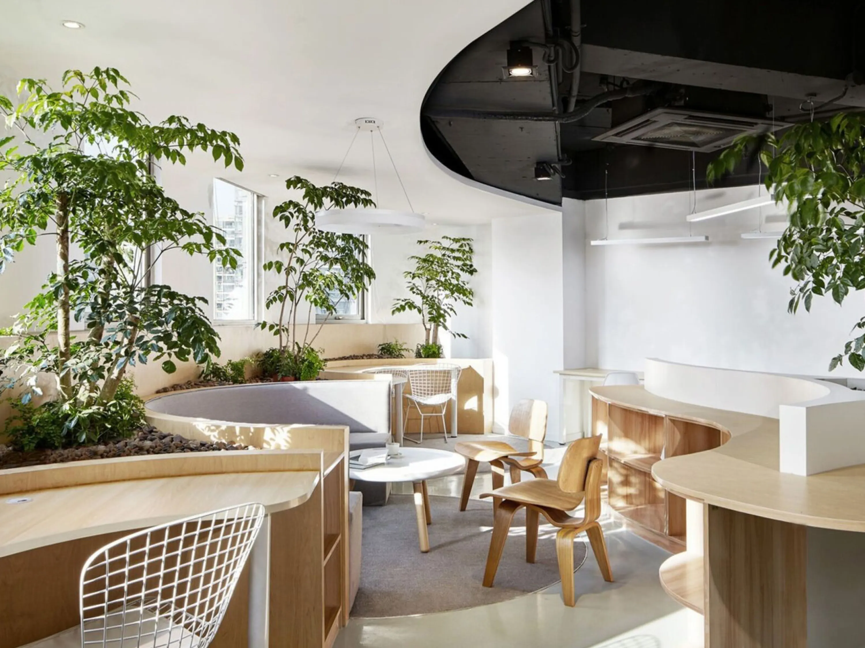 Individual working areas nestled in curved shapes, surrounded by plants and exposed to natural light.