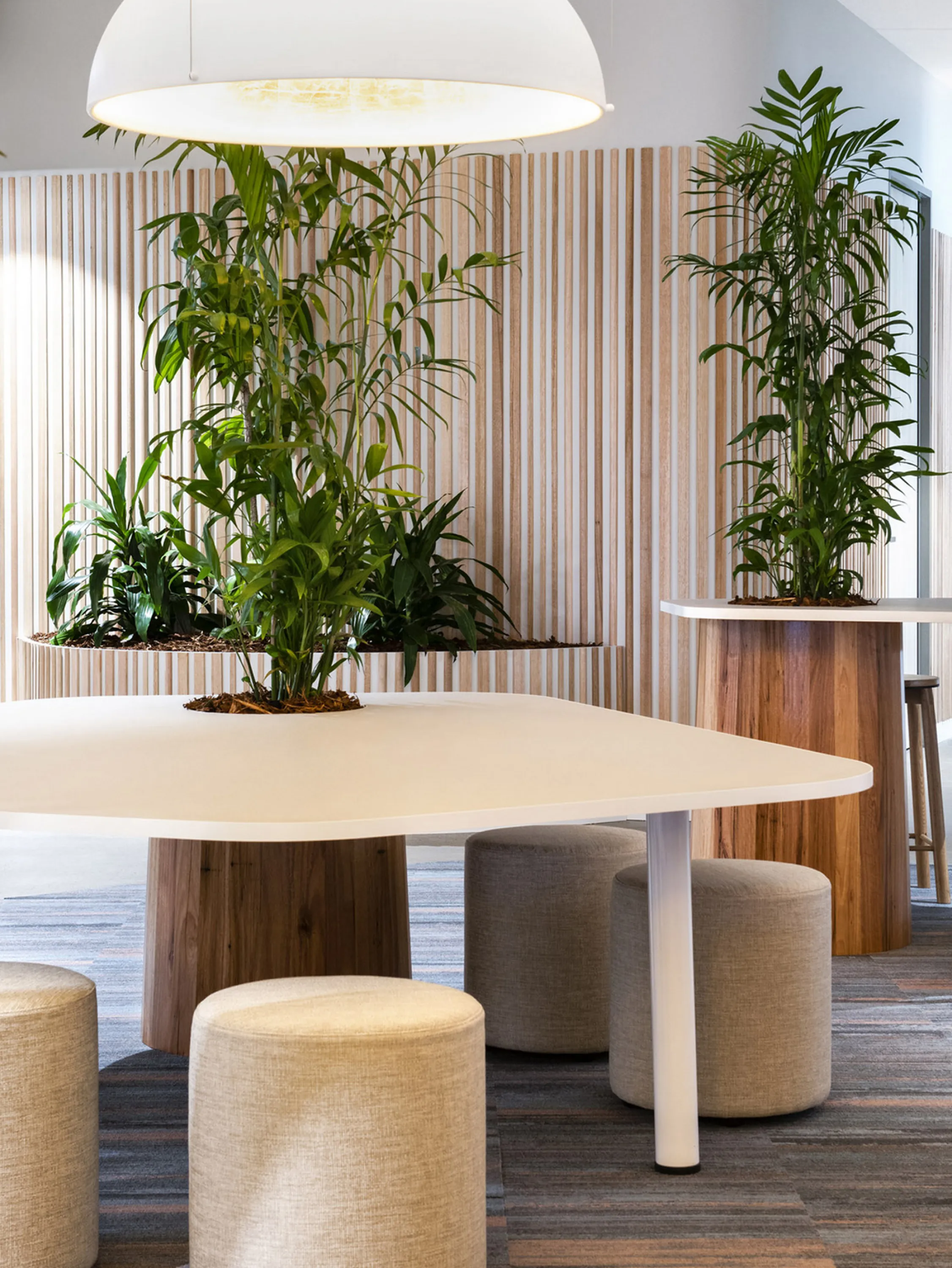 Open collaborative space with plants integrated in tables.